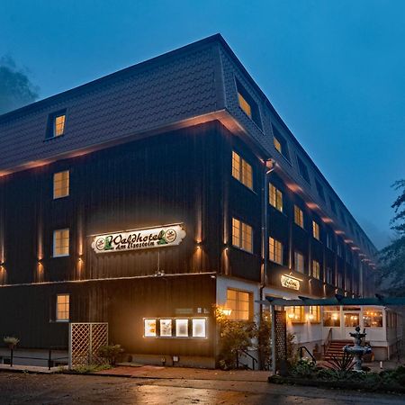 Waldhotel Harz 伊尔森堡 外观 照片