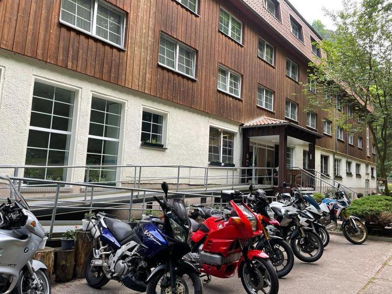 Waldhotel Harz 伊尔森堡 外观 照片